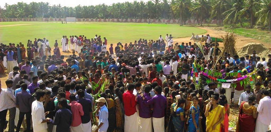Pongal Celebrations in campus